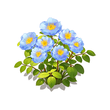 晴山蔷薇花